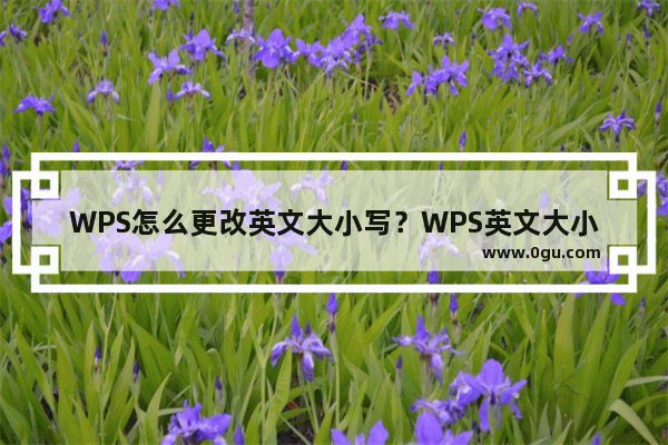 WPS怎么更改英文大小写？WPS英文大小写的转换方式