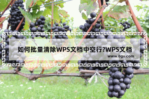 如何批量清除WPS文档中空行?WPS文档批量清除空行的方法