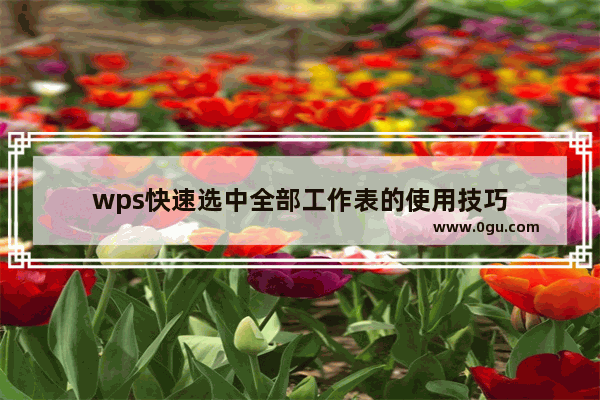 wps快速选中全部工作表的使用技巧