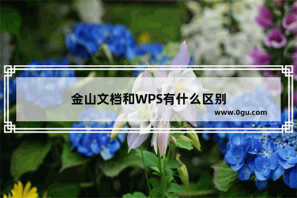 金山文档和WPS有什么区别