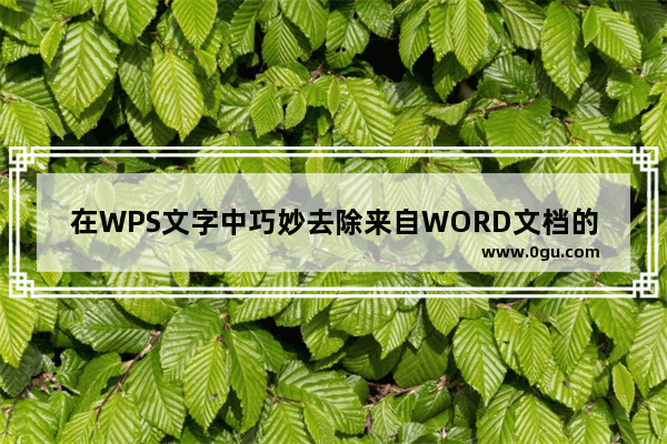 在WPS文字中巧妙去除来自WORD文档的水印