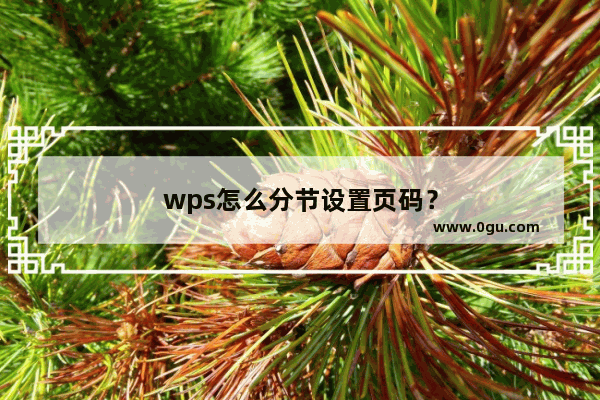 wps怎么分节设置页码？