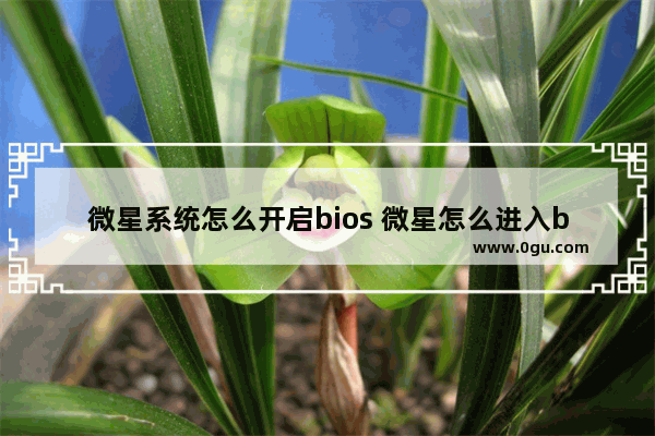 微星系统怎么开启bios 微星怎么进入bios设置启动顺序