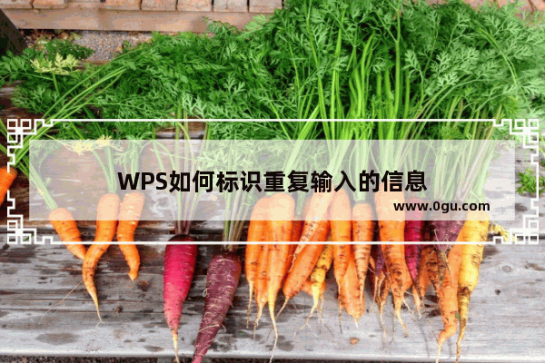 WPS如何标识重复输入的信息