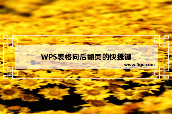 WPS表格向后翻页的快捷键