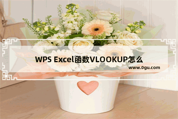 WPS Excel函数VLOOKUP怎么用 WPS Excel中VLOOKUP函数的使用方法