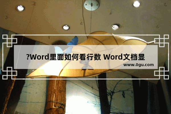 ?Word里面如何看行数 Word文档显示行数的方法教程