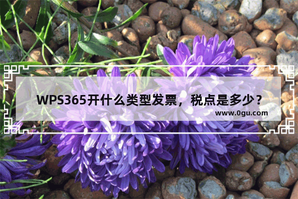 WPS365开什么类型发票，税点是多少？