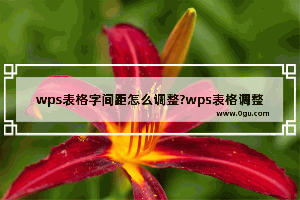 wps表格字间距怎么调整?wps表格调整字间距的方法教程