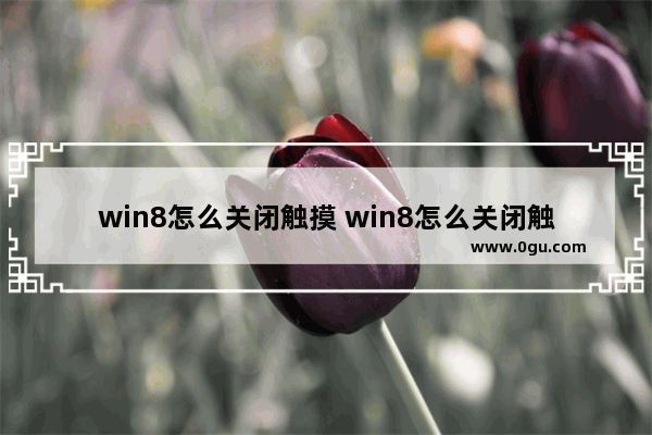 win8怎么关闭触摸 win8怎么关闭触摸屏