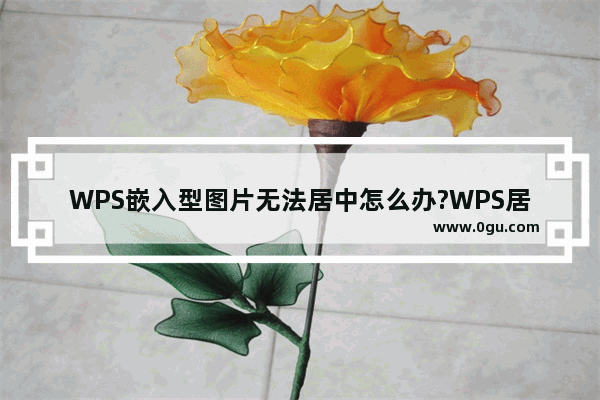 WPS嵌入型图片无法居中怎么办?WPS居中嵌入型图片的方法技巧