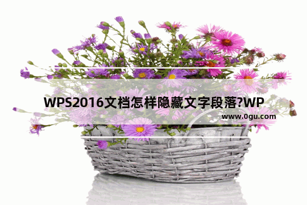 WPS2016文档怎样隐藏文字段落?WPS2016文档隐藏文字段落教程