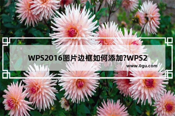 WPS2016图片边框如何添加?WPS2016添加图片边框的方法教程