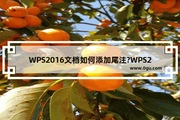 WPS2016文档如何添加尾注?WPS2016文档添加尾注的方法教程