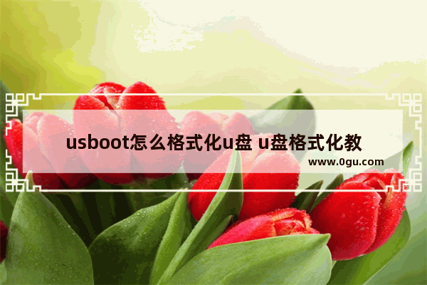 usboot怎么格式化u盘 u盘格式化教程