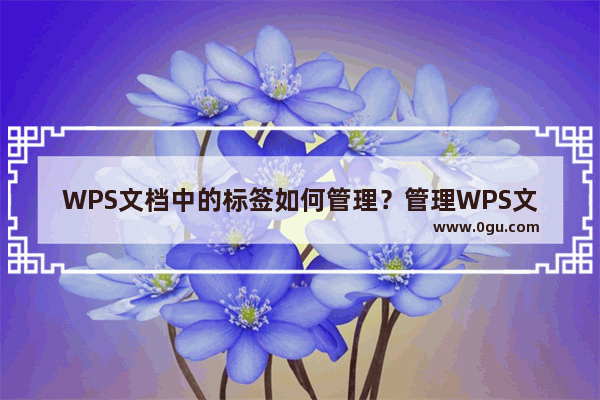 WPS文档中的标签如何管理？管理WPS文档中标签的方法