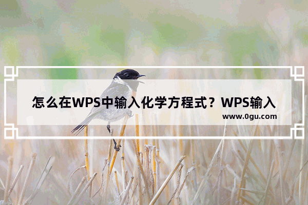 怎么在WPS中输入化学方程式？WPS输入化学方程式的技巧