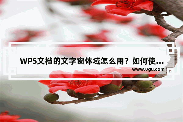 WPS文档的文字窗体域怎么用？如何使用WPS文档的文字窗体域