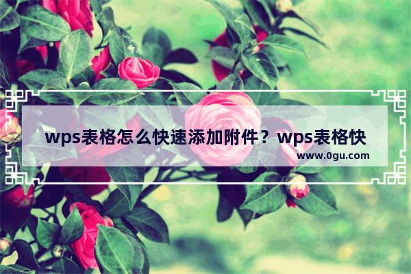 wps表格怎么快速添加附件？wps表格快速添加附件方法教程