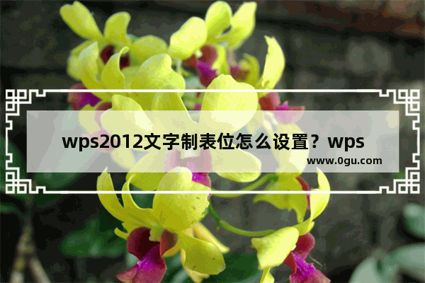 wps2012文字制表位怎么设置？wps2012文字制表位的使用方法