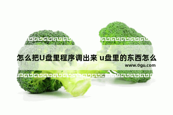 怎么把U盘里程序调出来 u盘里的东西怎么弄到桌面