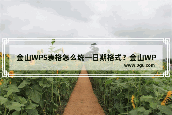 金山WPS表格怎么统一日期格式？金山WPS表格统一日期格式教程