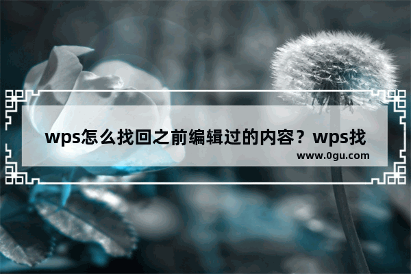 wps怎么找回之前编辑过的内容？wps找回历史记录的方法