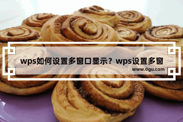 wps如何设置多窗口显示？wps设置多窗口显示的方法