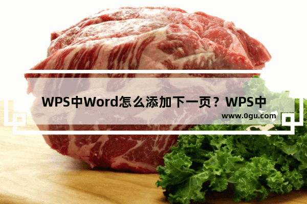 WPS中Word怎么添加下一页？WPS中Word添加下一页方法