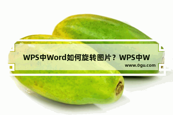 WPS中Word如何旋转图片？WPS中Word旋转图片办法