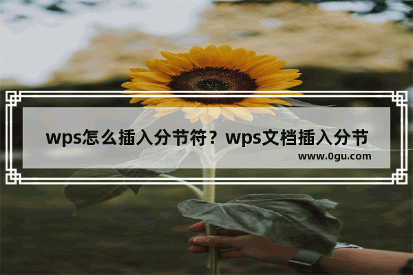 wps怎么插入分节符？wps文档插入分节符的方法技巧