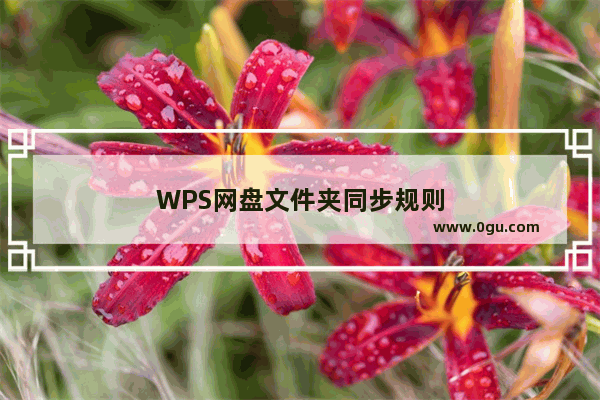 WPS网盘文件夹同步规则