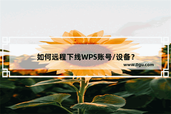 如何远程下线WPS账号/设备？