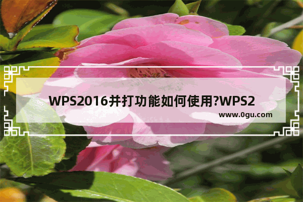 WPS2016并打功能如何使用?WPS2016并打功能的使用方法