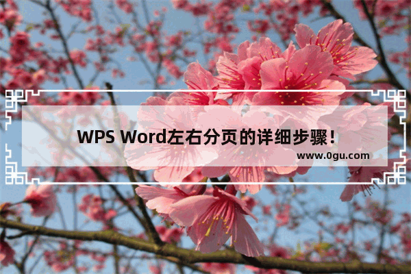 WPS Word左右分页的详细步骤！