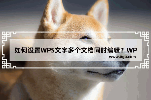 如何设置WPS文字多个文档同时编辑？WPS文字多个文档同时编辑设置方法