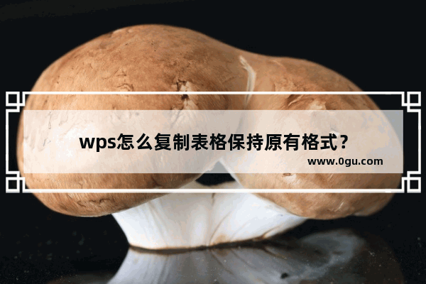 wps怎么复制表格保持原有格式？