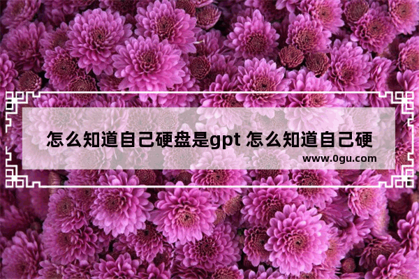 怎么知道自己硬盘是gpt 怎么知道自己硬盘是什么接口