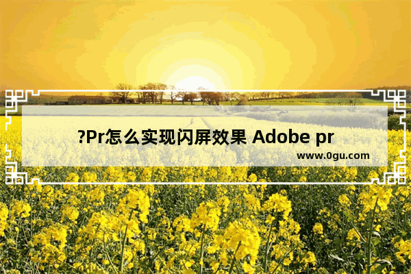 ?Pr怎么实现闪屏效果 Adobe premiere制作闪屏效果的方法教程