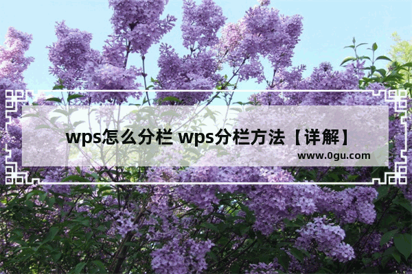 wps怎么分栏 wps分栏方法【详解】