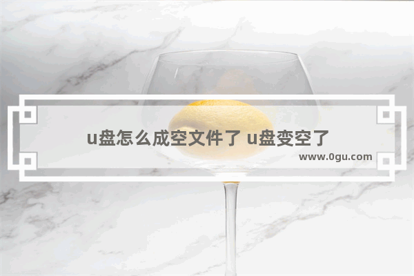 u盘怎么成空文件了 u盘变空了