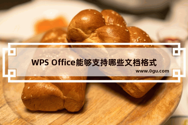 WPS Office能够支持哪些文档格式？