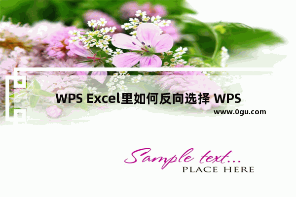 WPS Excel里如何反向选择 WPS Excel里反向选择数据的方法