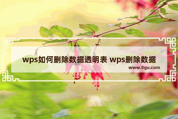 wps如何删除数据透明表 wps删除数据透明表的方法