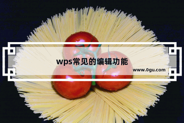 wps常见的编辑功能