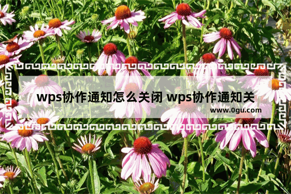 wps协作通知怎么关闭 wps协作通知关闭方法【详解】