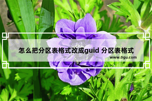 怎么把分区表格式改成guid 分区表格式转换会格式化吗