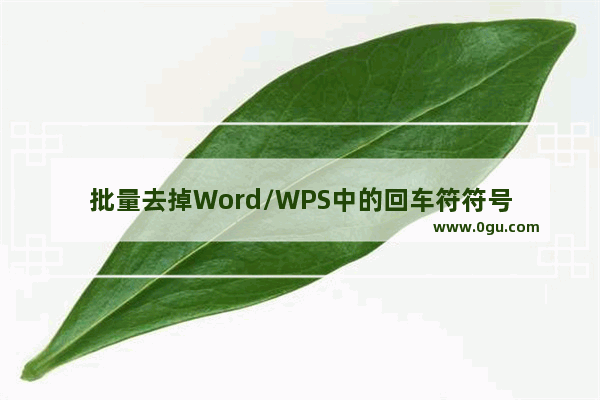 批量去掉Word/WPS中的回车符符号