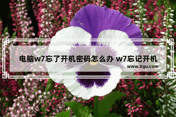 电脑w7忘了开机密码怎么办 w7忘记开机密码怎么开机