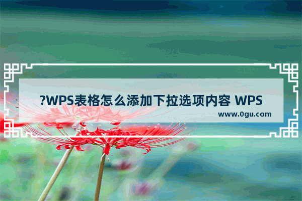 ?WPS表格怎么添加下拉选项内容 WPS Excel添加下拉选项内容的方法教程